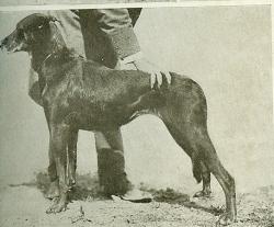 jugment-d-un-beauceron-1916.jpg