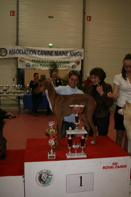 cacs 2012 086 25-11-2012