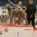 IMG_0021 31-03-2013