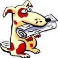 chien-journal.jpg