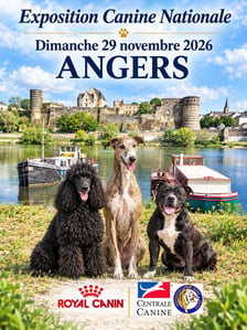 Image catalogue cacs angers nov 2026